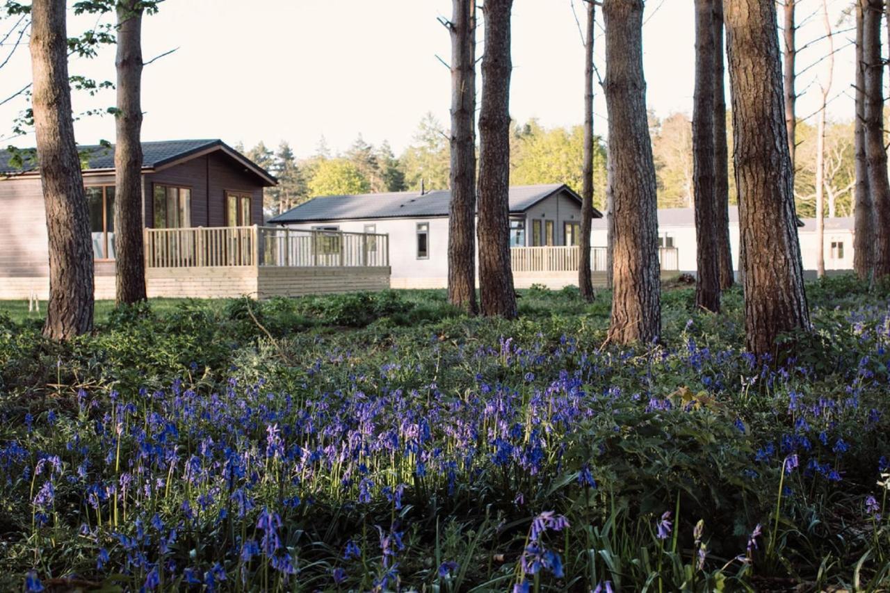 Hollicarrs - Wildflower Lodge York Exterior photo
