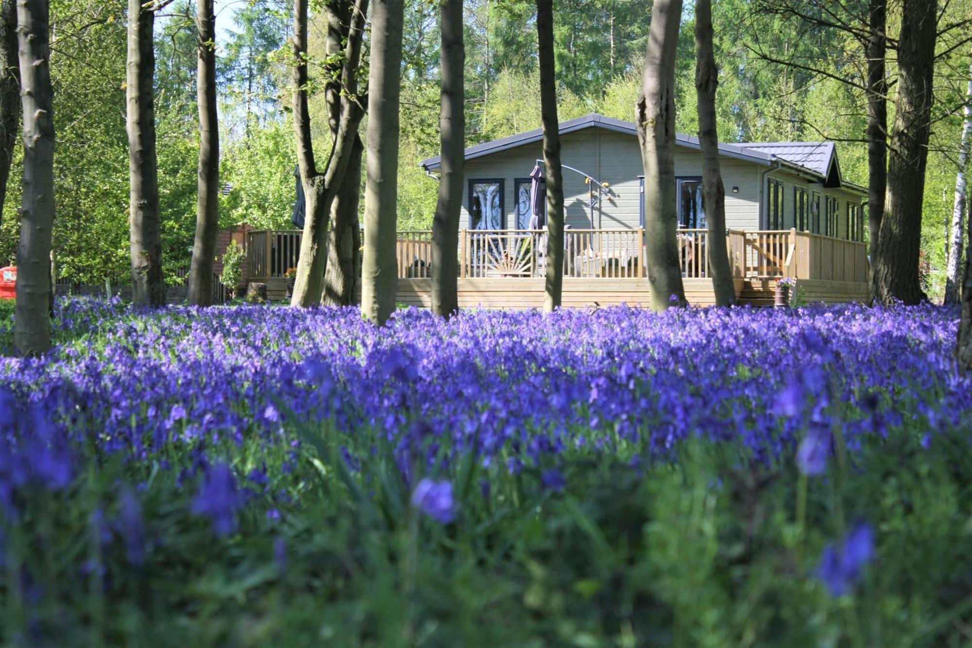 Hollicarrs - Wildflower Lodge York Exterior photo