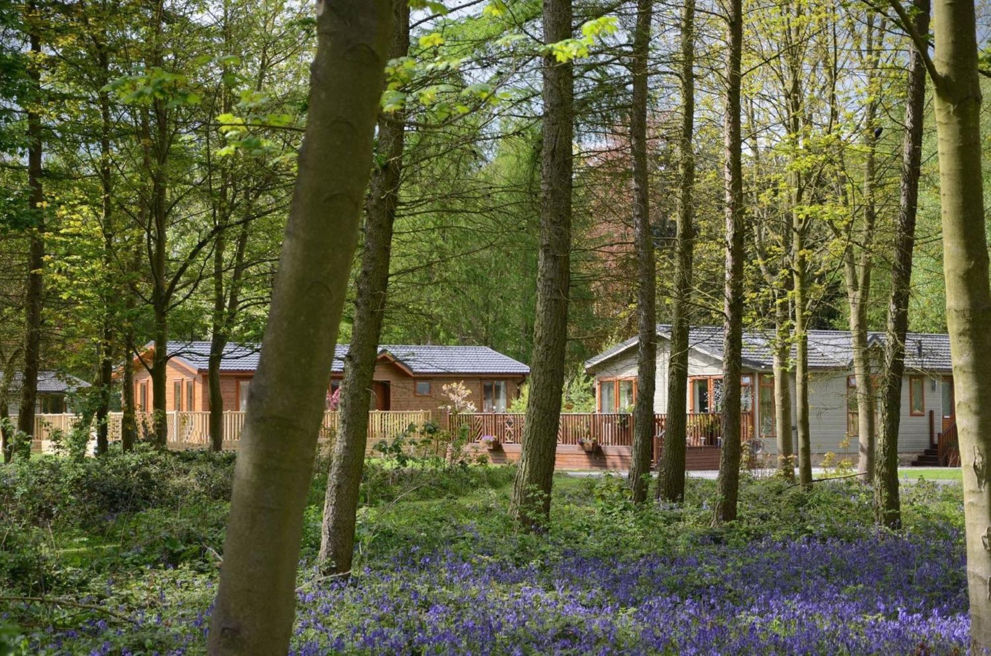 Hollicarrs - Wildflower Lodge York Exterior photo